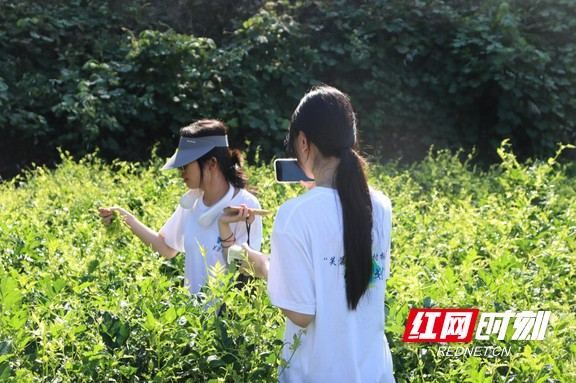 图片6.marked.jpg 图片6.marked.jpg