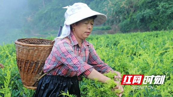 图片7.marked.jpg 图片7.marked.jpg